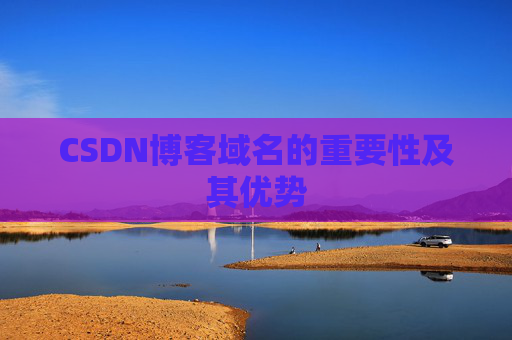 CSDN博客域名的重要性及其优势